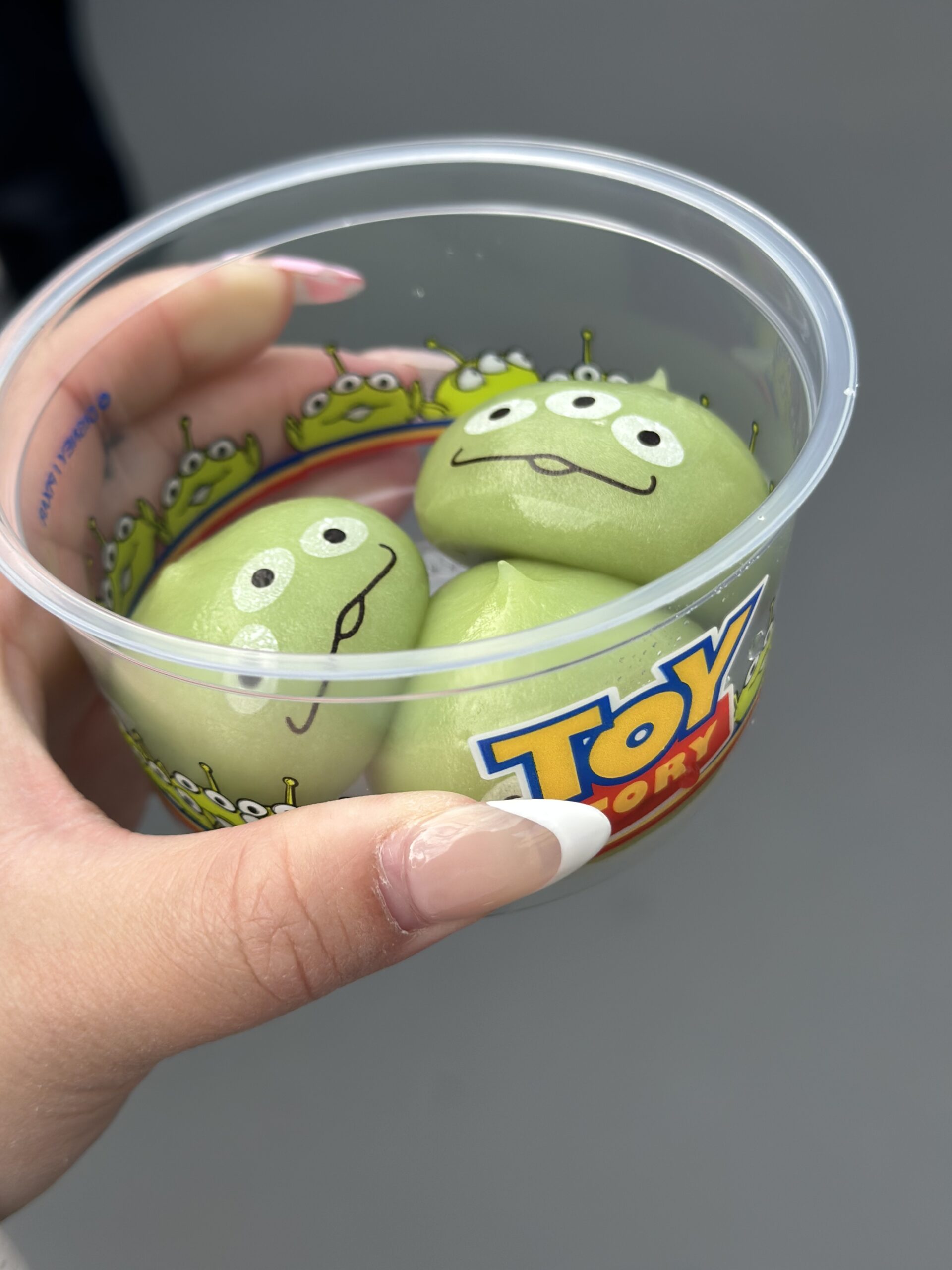 Cute Tokyo Disneyland Food: Must-Try Delights For A Magical Day